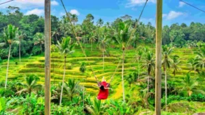 Tegallalang Rice Terrace