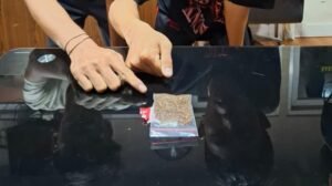 Tim Patroli Perintis Jaga Jakarta Regu B mengamankan dua pemuda yang diduga membawa narkotika jenis sintetis (sinte) tanpa hak di kawasan Jalan Yos Sudarso, Jakarta Utara