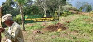 Aksi Ketahanan Pangan TMMD ke-128 di Bogor Nyata Dengan Penanaman Jagung dan Phon Keras CIGUDEG, Matanews – Dalam upaya nyata mendukung program ketahanan pangan nasional, Satuan Tugas (Satgas) TNI Manunggal Membangun Desa (TMMD) ke-128 Kodim 0621/Kabupaten Bogor melaksanakan aksi penanaman jagung dan pohon keras secara massal di Desa Banyuasih, Kecamatan Cigudeg, Kabupaten Bogor