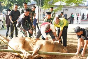 Perayaan Idul Adha 1447 H di Korem 052/Wkr, Momentum Tingkatkan Iman dan Pengabdian Prajurit untuk Indonesia Maju
TANGERANG, Matanews – Korem 052/Wijayakrama menggelar kegiatan Sholat Hari Raya Idul Adha 1447 Hijriah/2026 Masehi yang dilanjutkan dengan penyembelihan hewan kurban di Masjid Jami Al-Hidayah, Rumdis Makorem 052/Wkr, Legok, Kabupaten Tangerang,