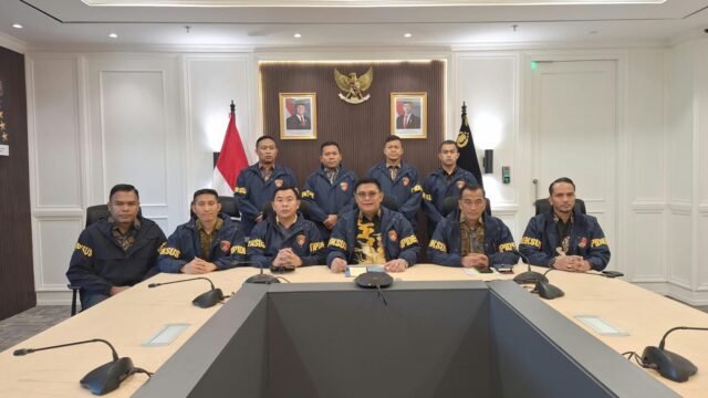 Dittipideksus
